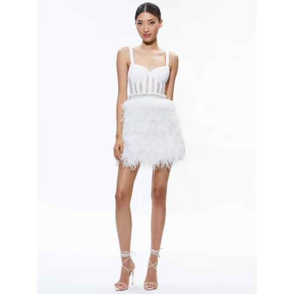 NEW Alice + Olivia Sizes 10, 12 Xia Sheer Bustier Feathered Mini Dress - White - Picture 1 of 6